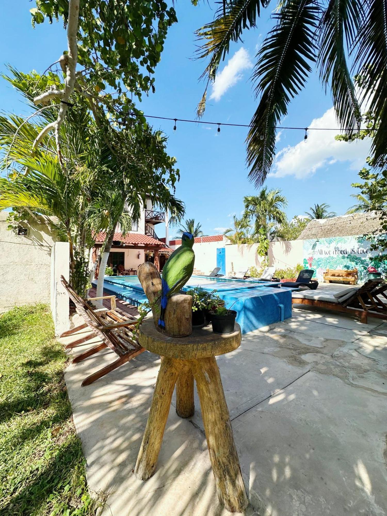 Posada El Perico Marinero Río Lagartos Buitenkant foto